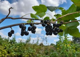 Продажа дома, 80 м2, село Воецское