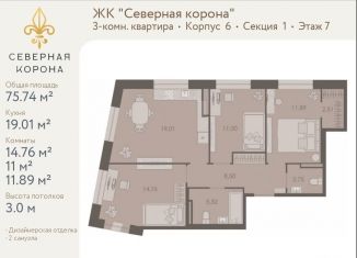 3-комнатная квартира на продажу, 75.7 м2, Санкт-Петербург, муниципальный округ Чкаловское