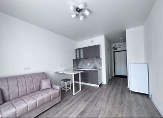 Сдается квартира студия, 21 м2, Люберцы, улица Камова, 3к1, ЖК Люберцы 2020