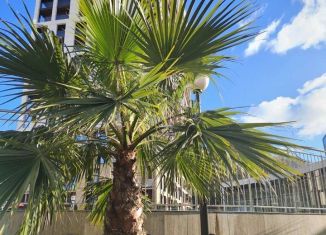 Продам трехкомнатную квартиру, 87 м2, посёлок городского типа Дагомыс, ЖК Аллея Парк, Батумское шоссе, 28Ак1