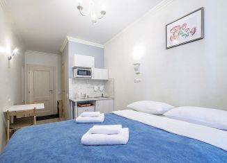 Сдаю в аренду квартиру студию, 15 м2, Санкт-Петербург, Невский проспект, 128, муниципальный округ Смольнинское