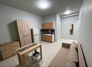 Продам квартиру студию, 17 м2, Москва, улица Талалихина, 39, улица Талалихина