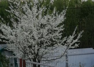 Дом на продажу, 56 м2, деревня Баранцево