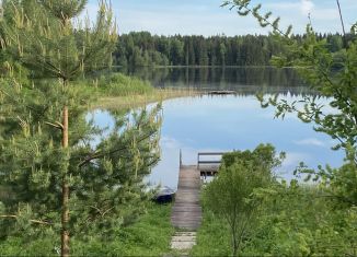 Дом в аренду, 60 м2, Новгородская область, деревня Сопки, 27