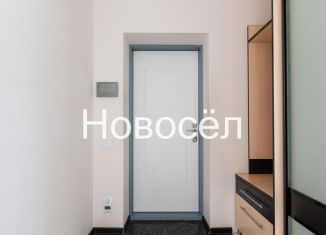 Сдача в аренду 3-комнатной квартиры, 87 м2, Новосибирск, Выборная улица, Выборная улица