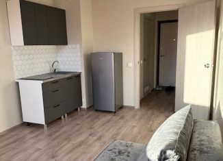 Сдаю в аренду квартиру студию, 21 м2, Пермь, Агатовая улица, 28