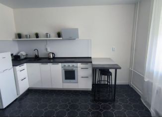 Сдам в аренду 1-комнатную квартиру, 35 м2, Мурино, проспект Авиаторов Балтики, 25, ЖК Авиатор