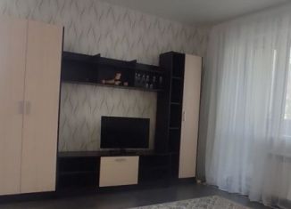 1-комнатная квартира в аренду, 41 м2, Ростовская область, улица Добровольского