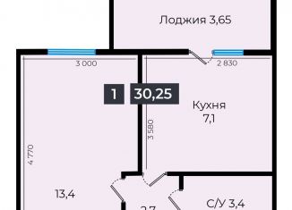 Продажа 1-комнатной квартиры, 30.2 м2, Ставрополь, Промышленный район, улица Южный Обход, 53В