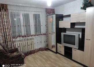 1-комнатная квартира в аренду, 30 м2, Московская область, деревня Жучки, 10