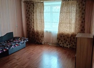 Сдаю в аренду однокомнатную квартиру, 35.2 м2, Новосибирская область, микрорайон Южный, 50