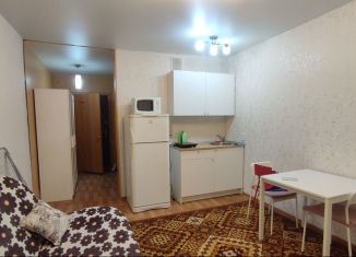Квартира в аренду студия, 26 м2, Новосибирск, метро Площадь Маркса, улица Виктора Уса, 9