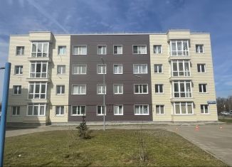 4-комнатная квартира на продажу, 117.4 м2, деревня Болтино, деревня Болтино, 13