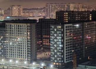 Продается однокомнатная квартира, 38 м2, Санкт-Петербург, Дальневосточный проспект, 19к1, Невский район