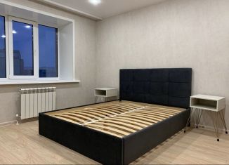2-комнатная квартира на продажу, 45 м2, село Семёновка, Молодёжная улица, 15Б