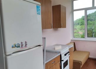 Сдаю в аренду дом, 50 м2, село Вольное