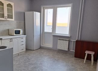 1-комнатная квартира в аренду, 43 м2, Новосибирск, улица Ошанина, 5, Первомайский район