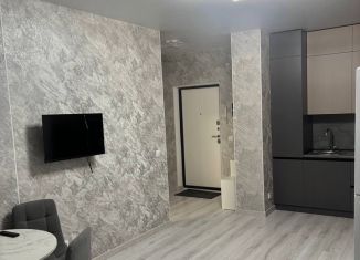 Сдам в аренду 1-ком. квартиру, 42 м2, Майкоп, улица К.А. Васильева