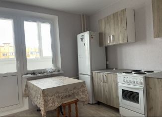 Сдается в аренду квартира студия, 27 м2, Ростов-на-Дону, переулок Поленова, 21/10, ЖК Платовский