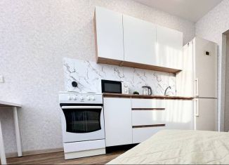 1-комнатная квартира в аренду, 41.7 м2, Екатеринбург, улица Циолковского, 27, ЖК Премьер