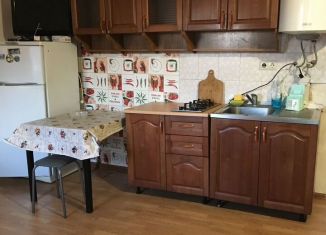 Дом в аренду, 45 м2, Сочи, улица Шаумяна, 7