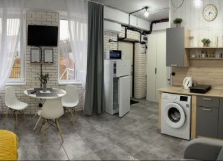 Продажа квартиры студии, 23 м2, село Черешня, Подольская улица, 166/1