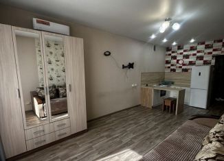 Продажа квартиры студии, 30 м2, Абакан, улица Некрасова, 45