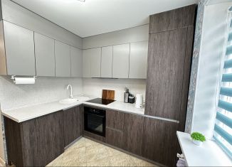 Двухкомнатная квартира на продажу, 55 м2, село Поляны, Новая улица, 2