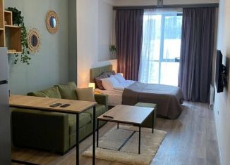 Продам квартиру студию, 25.5 м2, Сочи, Изумрудная улица, 9/3