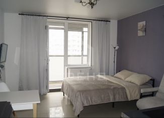 Продажа квартиры студии, 26 м2, Мурино, Воронцовский бульвар, 14к5, ЖК Краски Лета