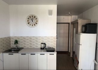 Сдача в аренду квартиры студии, 20 м2, Екатеринбург, микрорайон Светлый, 9