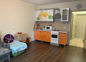 Сдаю квартиру студию, 29.8 м2, городской посёлок Янино-1, ЖК Новое Янино, Голландская улица, 10