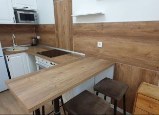 Сдача в аренду однокомнатной квартиры, 33 м2, деревня Новое Девяткино, Главная улица, 14