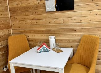 Дом в аренду, 28 м2, поселок Аршан, улица Лермонтова, 10