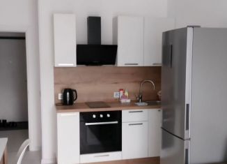 Квартира в аренду студия, 25 м2, посёлок Шушары, Колпинское шоссе, 129