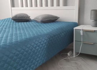 Сдам однокомнатную квартиру, 45 м2, Владимир, улица Нижняя Дуброва, 11, ЖК Орбита