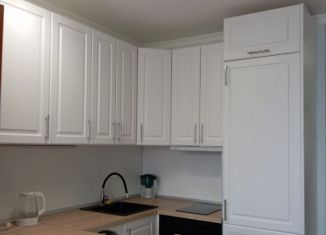 Квартира в аренду студия, 27 м2, Щербинка, улица 40 лет Октября, 3