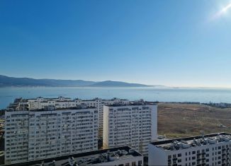 Сдача в аренду однокомнатной квартиры, 46 м2, Новороссийск, улица Бориса Пупко, 5к1