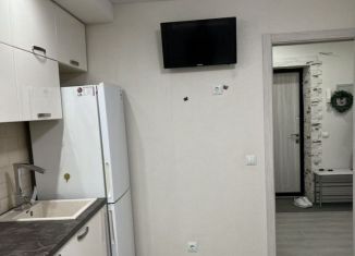 Сдам в аренду однокомнатную квартиру, 40 м2, Чебоксары, улица Николая Рождественского, 1