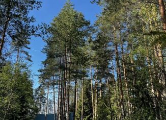 Продам земельный участок, 13 сот., Санкт-Петербург, Аптекарская улица