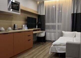 Квартира на продажу студия, 20 м2, Санкт-Петербург, Измайловский бульвар, 1к2, Адмиралтейский район