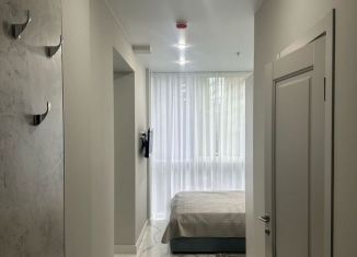 Продаю 1-комнатную квартиру, 14.2 м2, Сочи, Навагинская улица, 11к5, микрорайон Центральный