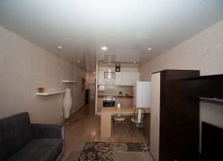 Квартира в аренду студия, 31 м2, Екатеринбург, Библиотечная улица, 25