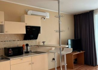Сдача в аренду квартиры студии, 29 м2, Екатеринбург, Инженерная улица, 45