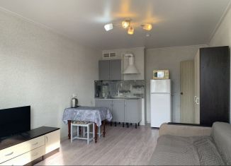 Сдаю квартиру студию, 25 м2, Краснодар, улица Героя А.А. Аверкиева, 21, микрорайон Восточно-Кругликовский