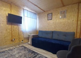 Аренда дома, 22 м2, Таганрог, Кузнечная улица, 59