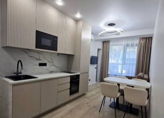 Продаю 1-комнатную квартиру, 30 м2, Сочи, Пластунская улица, 104Б, микрорайон Заречный