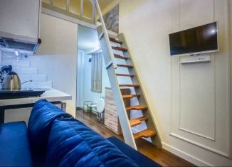 Продам квартиру студию, 25 м2, Санкт-Петербург, Казанская улица, 9, метро Сенная площадь