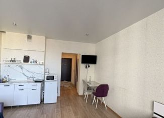 Сдам в аренду квартиру студию, 33 м2, Екатеринбург, улица Крестинского, 35
