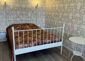 Сдача в аренду 1-комнатной квартиры, 39 м2, Владимир, улица Диктора Левитана, 44